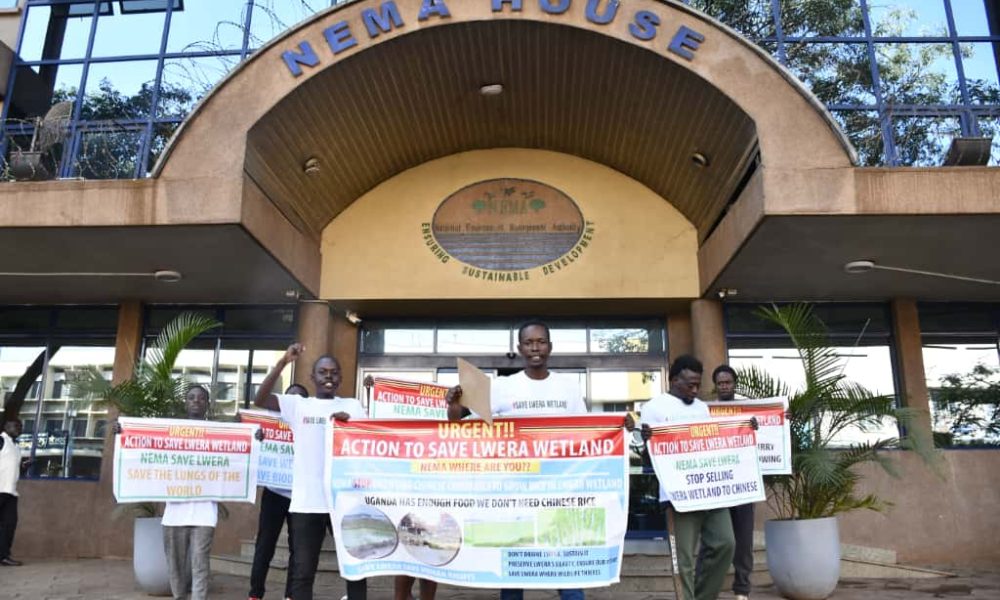 Eight Arrested Over Lwera Wetland Protest