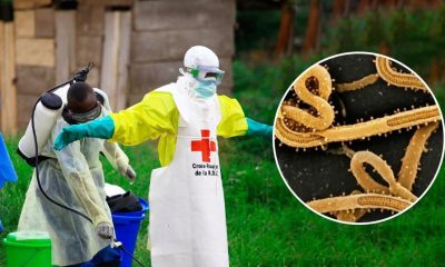 Uganda Confirms Two Infections and One Death As DR Congo Reports New Ebola Cases