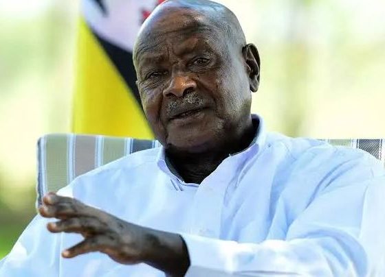 Museveni Orders Probe Into Shs231 Billion Veterans’ Akasiimo Funds