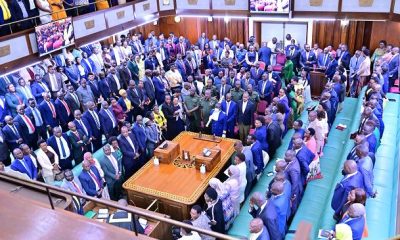 Parliament Divided Over Dual Citizenship