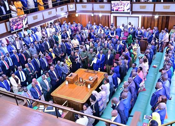 Parliament Divided Over Dual Citizenship