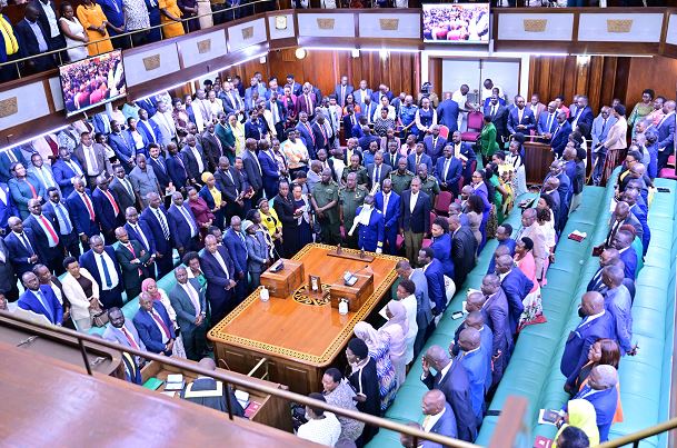 Parliament Divided Over Dual Citizenship