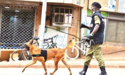 Police Canine Unit Helps In The Arrest Of Murder Suspect in Kween District
