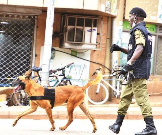 Police Canine Unit Helps In The Arrest Of Murder Suspect in Kween District