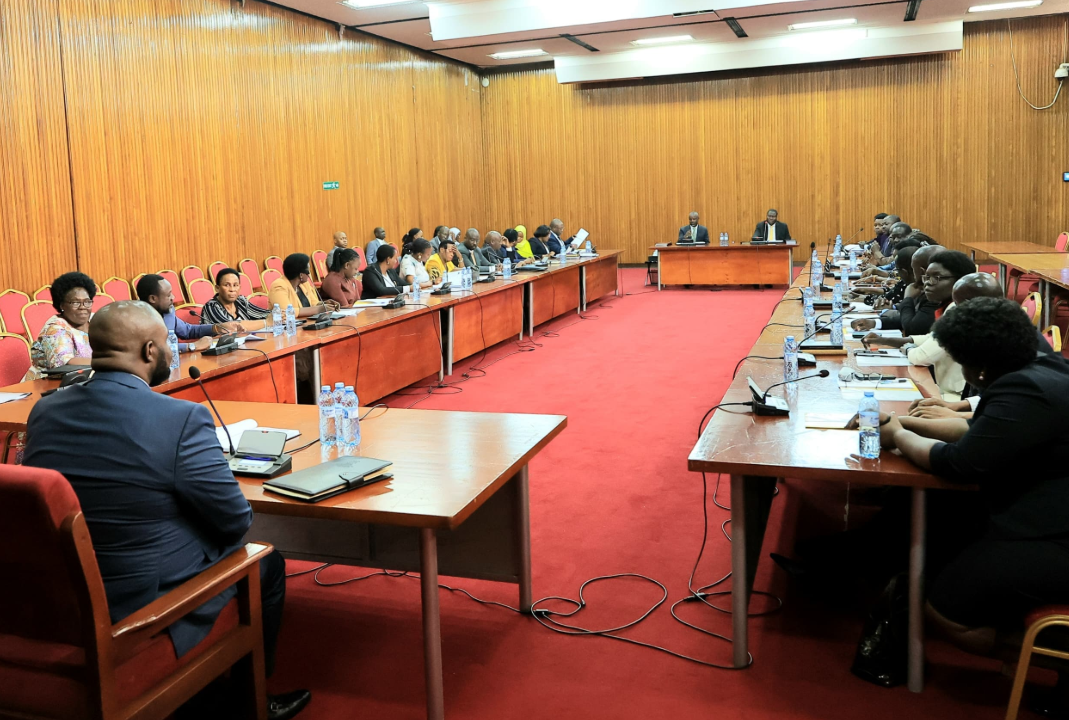 Parliament Vets Juma Witonze For State Minister For Internal Affairs