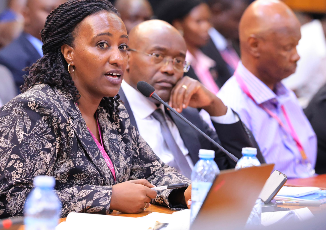 Parliament Questions UEDCL Over 400,000 Delayed Electricity Connections