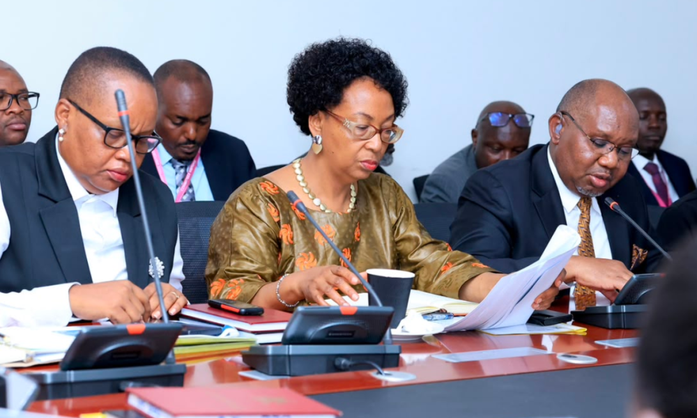 Uganda Seeks Shs308bn To Establish 19 Government Service Centres